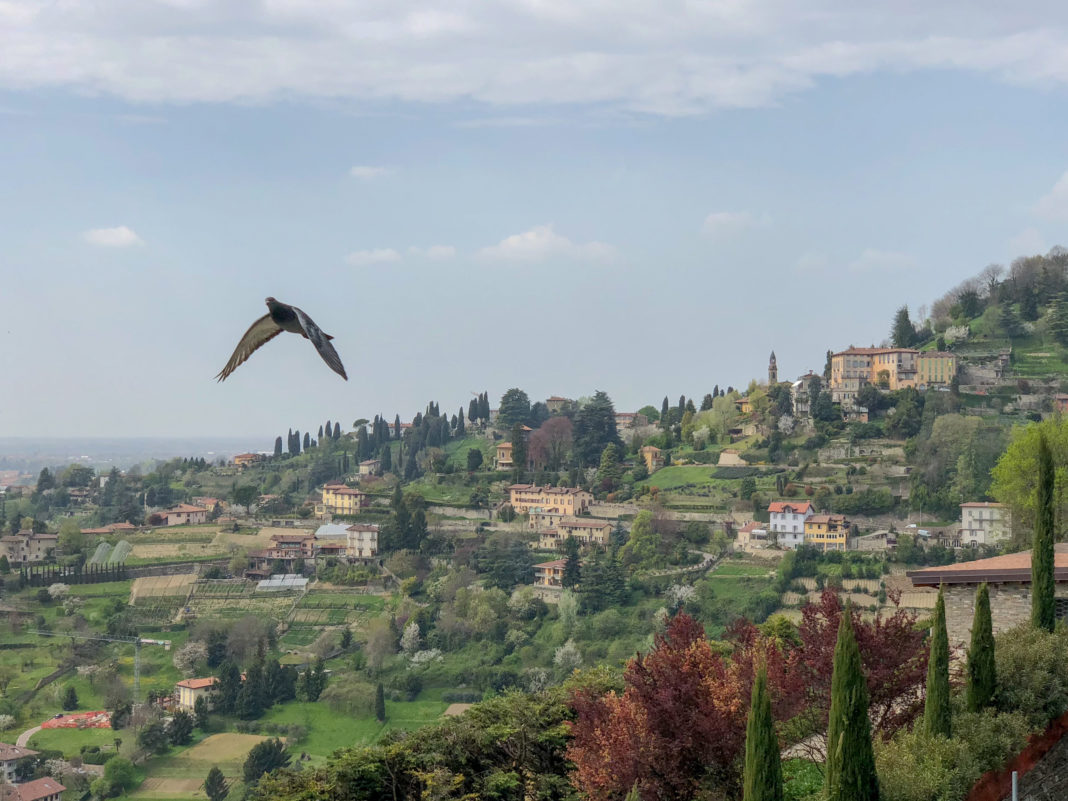 Bergamo