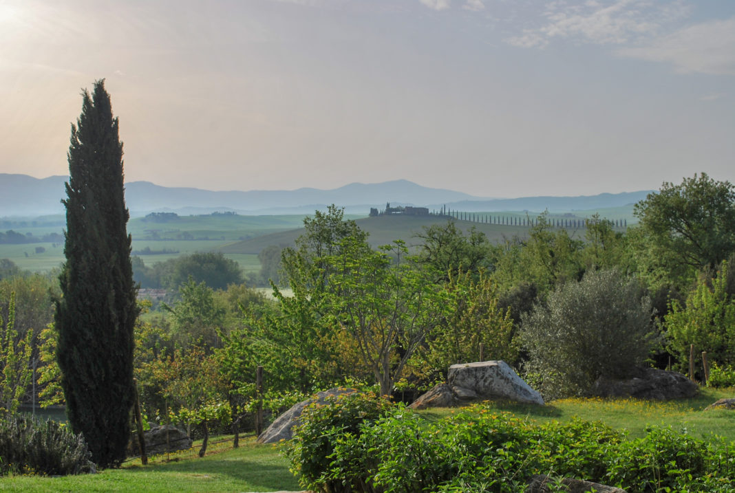 View from Adler hotel garden