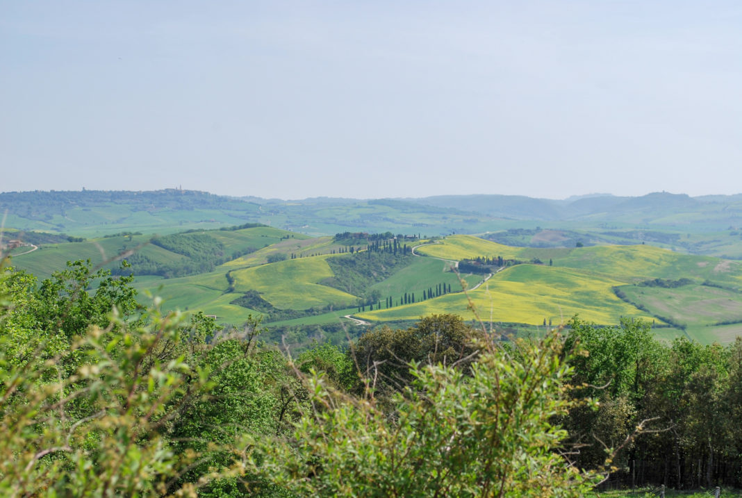 View of Tuscany from the hotel Adler