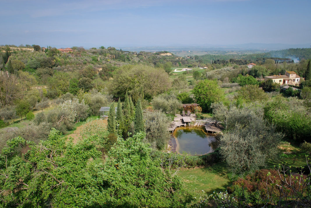 Garden of Fattoria San Martino with bio pool