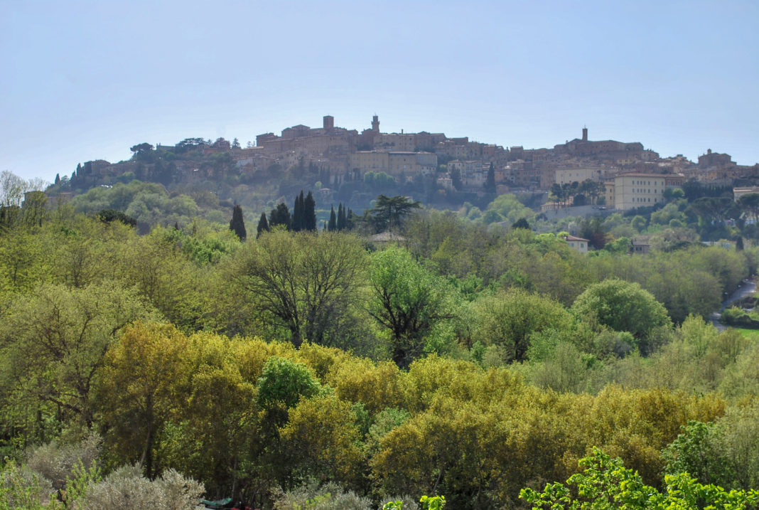 View of Montepulciano from Fattoria San Martino