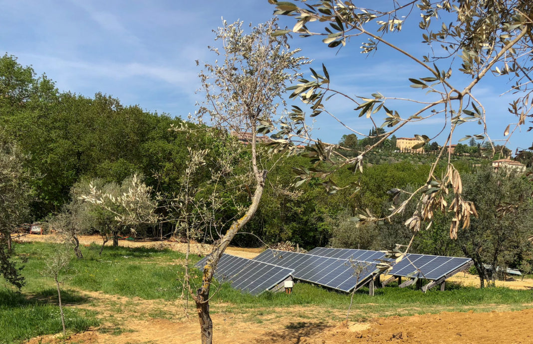 Solar panels at Fattoria San Martino