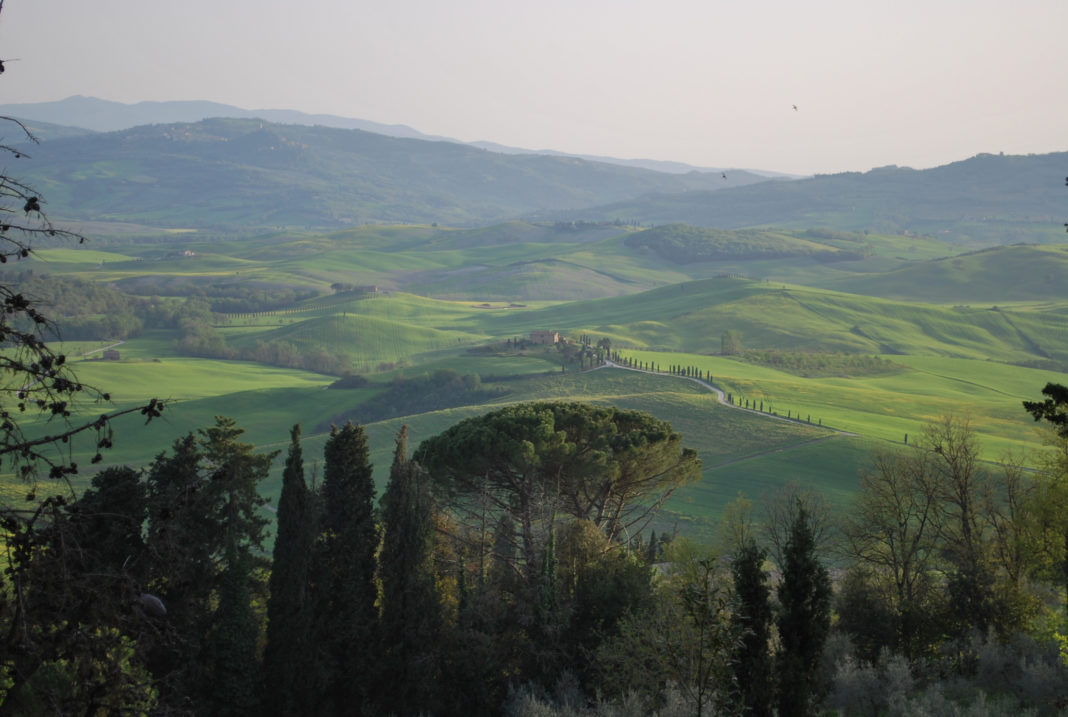 Best view of Tuscany in Val d'Orcia