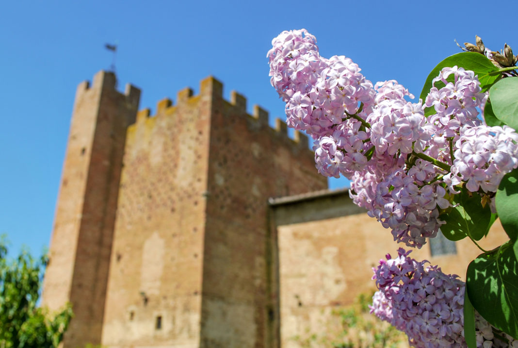 Spring at Palazzo Pretorio in Certaldo