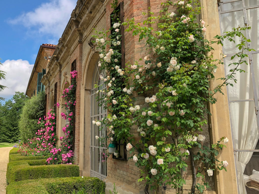 Roses and windows of the orangery