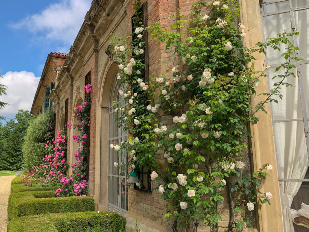Roses and windows of the orangery