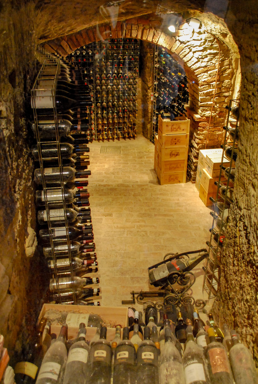 Wine bottles in the wine cellar