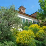 The lush garden