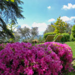 Great place in the hotelgarden
