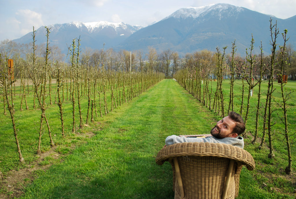 Mr T sitting in apple orchard